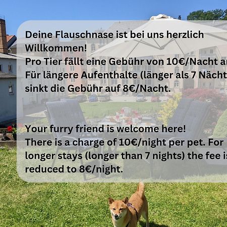 Hw3 - Urlaubsmagie - Helle, Grosse Wohnung Mit Pool Sebnitz Εξωτερικό φωτογραφία
